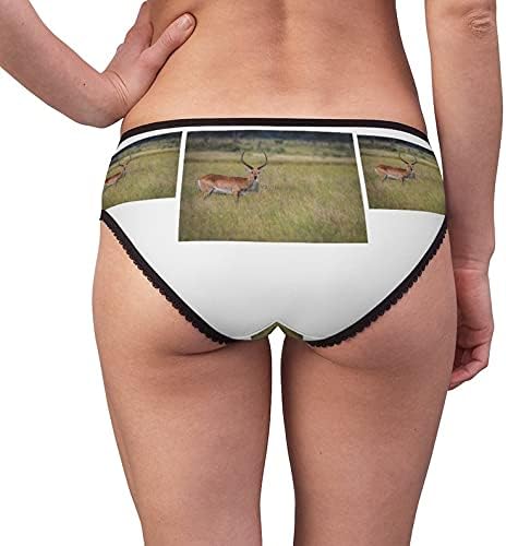Lechwe Starring Panties, Lechwe Starring Underwear, Briefs, Cotton Briefs, Funny Underwear, Panties For Women