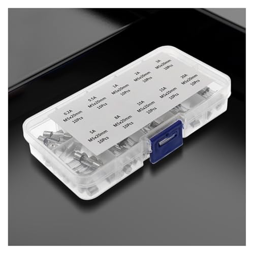 100 unidades Kit de fusibles de tubo de vidrio variados Amp 0.2A-20A Acción rápida 250V Pack surtido con caja de almacenamiento miniatura 5