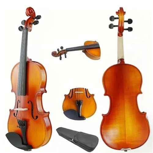 Violon adulte débutant avec archet de violons et étui de transport