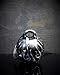 Bravo Bells Flame Skull Bell - Motorcycle Biker Bell Accessory or Key Chain for Good Luck on the Road