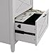 Bush Furniture Key West Lateral File Cabinet, Modern Farmhouse 2 Drawer File Cabinet for Home Office