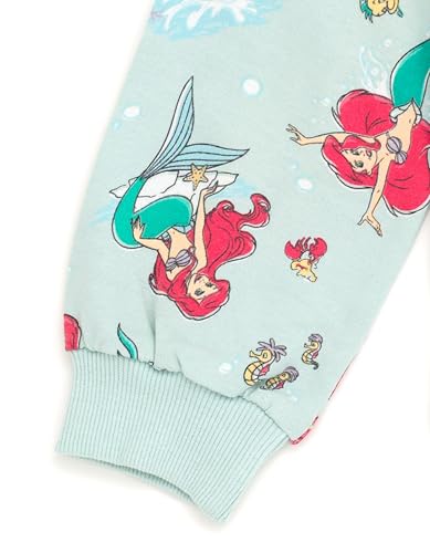 Image of Disney Girls Fleece Sweatshirt and Jogger Pants Outfit Set Newborn to Big Kid Sizes (Newborn - 14-16)