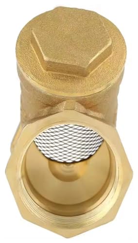 Filtre en laiton de Type Y 2 pouces pour protéger l'eau de la maison