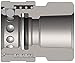 Dixon 10VBF10-SS-E 316SS 1-1/4" H-Coupler, 1-1/4" BSPP Unvalved (200255-10)