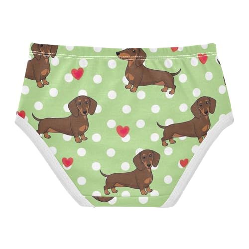 Cute Brown Dachshund Dogs Green Toddlers Underwear Floral 2t Cotton Panties Little Girl Fun Print Briefs Undies Kids2