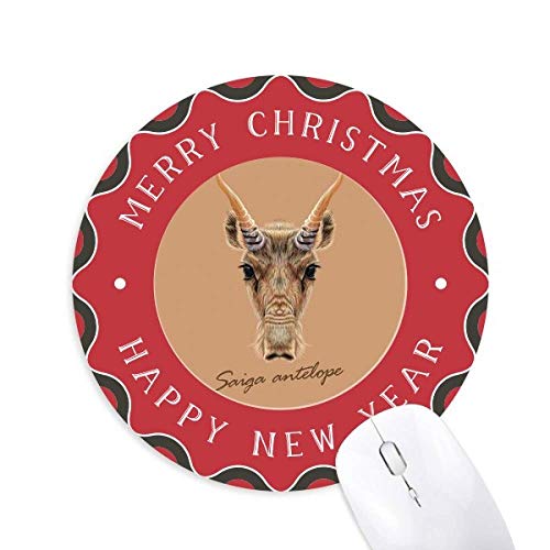 F̖쐶̃TC ~`S̃NX}X}EXpbh