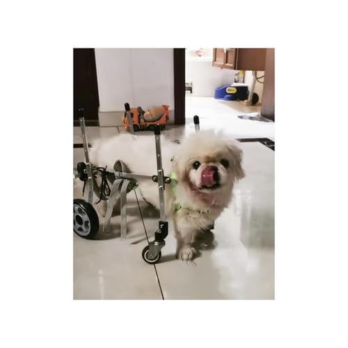 Dog Wheelchair Light Weight Dog Wheel Chair Mobility Aids, Full Support Rehabilitation Cart for Animal Hip Support, Disabled Doggy Assisted Wheels, Easy Assemble(Large Wide)