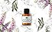 ASDM Beverly Hills 25% Glycolic Acid Peel |1 Ounce| Anti-Aging Treatment for Wrinkles, Acne Scars, Blackheads, Fine Lines, Oily Skin, and Dry Skin- Chemical Exfoliate Dissolves Dead Skin Cells
