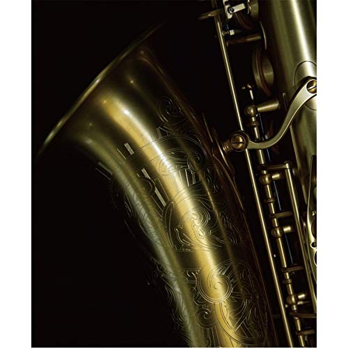 Amazon | Adolphe Sax Alto Saxophone Limited Brushed Gold Satin W