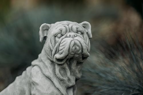 gartendekoparadies.de Englische Bulldogge, Steinfigur, H. 32 cm, 10 kg, Grau, frostsicher aus Steinguss für Außenbereich