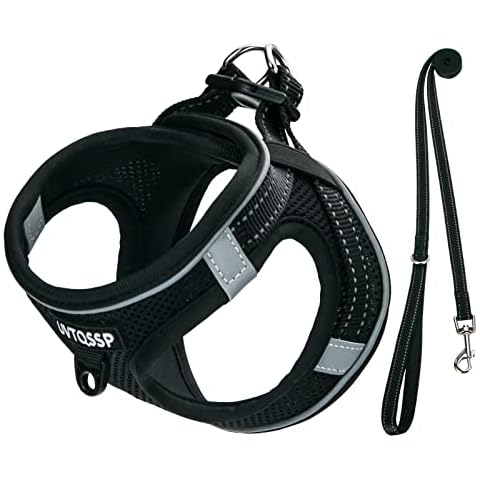 Hundegeschirr Kleine Hunde Schwarz Gepolstert Cover