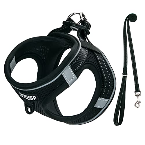 UVTQSSP Hundegeschirr Kleine Hunde mit Leine Gepolstert, Welpengeschirr, Dog Harness Hunde Geschirr Klein (Schwarz, XXS)