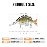 Zoom IMG-1 truscend esche da pesca per
