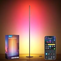 Govee RGBIC Lampade da Terra LED, Moderna Piantana Lampada da Terra, Nero