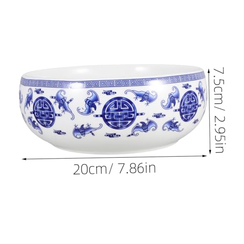 Plavier hydroponique en céramique pot de lys Gatuida pour maison