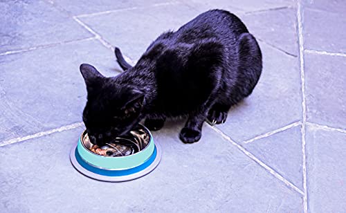 Comedouro GermanHart Dual Azul P 250ml