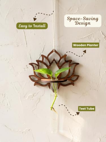 Image of Bombay Greens ; Sow, grow, eat, repeat Hanging Lotus Planter with Wooden Holder & Rope | Test Tube Hanging Planter | Wooden Stand for Home Decor, Living Room, Balcony & Office Decoration