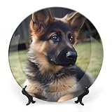 Aucun risque : notre décoration murale en porcelaine anglaise est disponible dans une variété de tailles, de sorte que vous pouvez choisir celle qui vous convient pour améliorer votre décoration. Chaque disque décoratif sera soigneusement emballé, de sorte qu'il arrivera en toute sécurité. S'il y a des dommages, n'hésitez pas à nous envoyer.