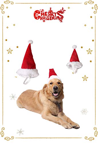 BT Bear® Weihnachtskostüm für Hunde und Katzen, Weihnachtsmütze für Welpen, Kleine, Mittelgroße und Große Hunde