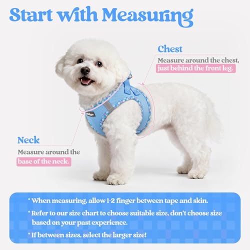 Image of rabbitgoo Dog Harness Small Sized and Leash Set, Step-in Puppy Pet Vest