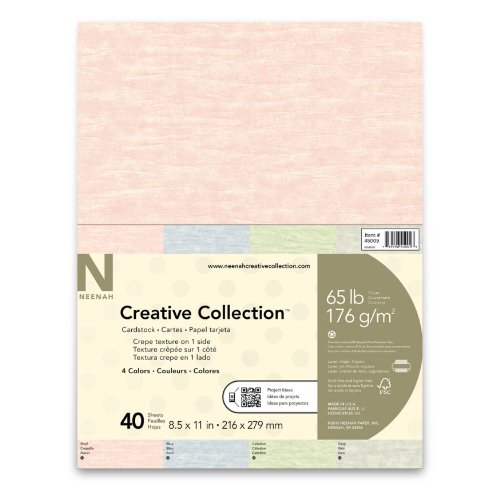 Wausau Creative Collection Textures Specialty Cardstock, 8.5 X 11 Inches, Assorted, 40 Count (45009)