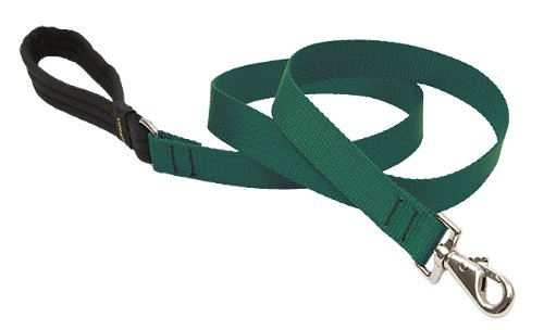 LupinePet Basics 1" Green 6-foot Padded Handle Leash for Medium and Larger Dogs
