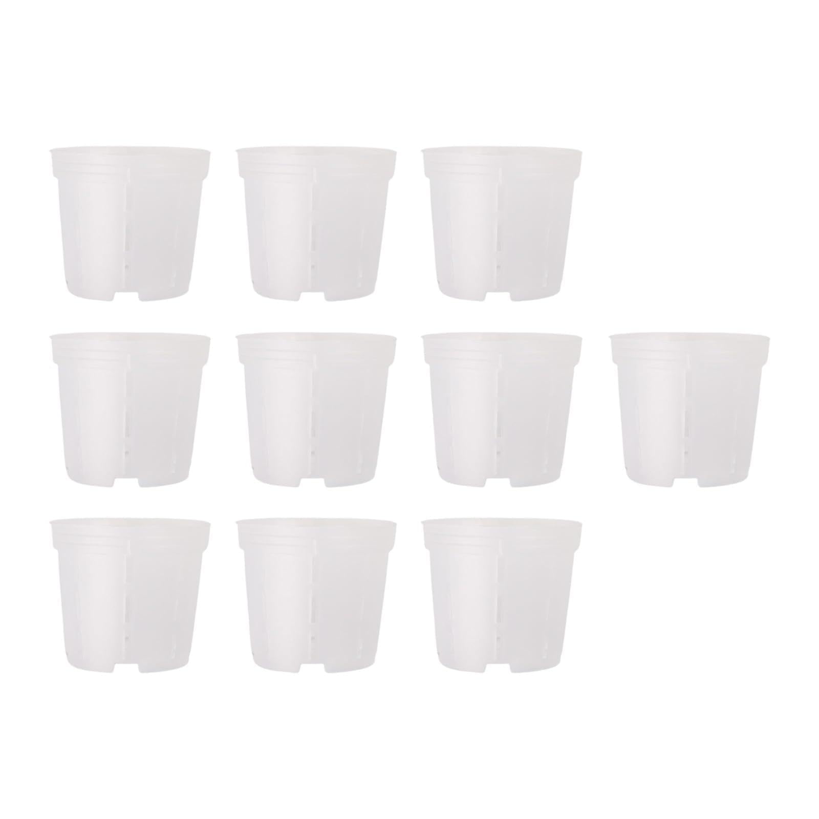 QOXEZY Clear Plastic Orchid Pot Set for Phalaenopsis and Dendrobium – Air-Pruning, Drainage & Root Growth Monitoring, 10-Piece PP Pots (Large)