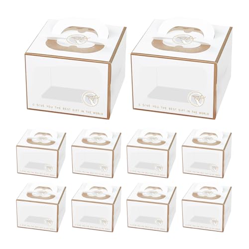 DIFEIUKI P[L{bNX P[L 5 10Zbg  t Vv k gݗĂȒP ^щ\  a p[eB[ x[J[pi 20×s20×15cm