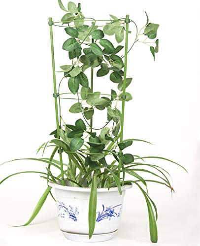 OCEANPAX 3 Pack Plant Support Cages 18 Inches Plant Cages with 3 Adjustable Rings - Thumbnail 4