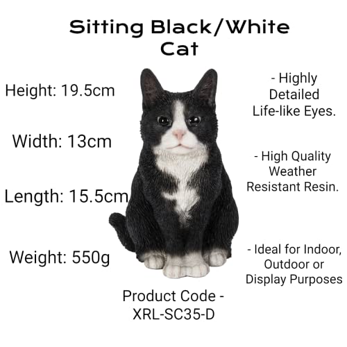Vivid Arts Sitting Cats (Black/White Cat) - Image 2