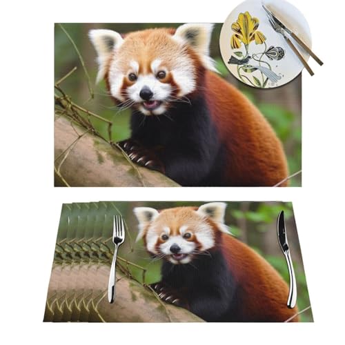 Set de table antidérapant et thermorésistant motif petit panda rouge - 2