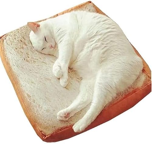 L Hp xbh  NbV L xbh LObY xbh Lxbh ~ Lp g[Xg Qpbh  ^ ybgNbV ӂƂ CeA zc k 傫 Hp^ p ybgp 炩  p   x