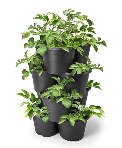 Jelenia Plast Pflanzturm stapelbar anthrazit Kräutertopf Kartoffelturm...