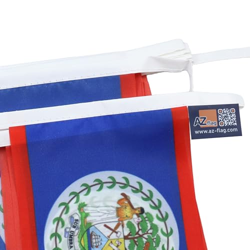 Image of AZ FLAG Belize 6 meters BUNTING Flag 20 flags 9'' x 6'' - Belizean STRING flags 15 x 21 cm