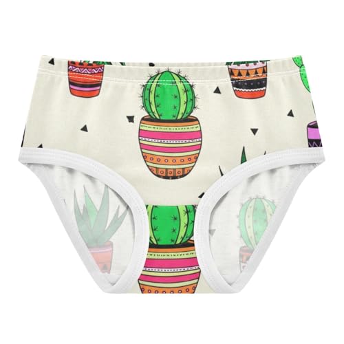 Artistic Toddler Underwear Floral 2t Cotton Panties for Girl Potted Cactus Succulent Plants Kids Undies Briefs - Main Image