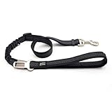 Choose from a variety of colors and choose the color that best suits your dog.
