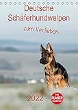 VIELFALT - Mit über 25.000 verschiedenen Kalendern bietet der CALVENDO Verlag für jeden Geschmack das richtige Produkt. Zudem sind die Kalender meist in den Formaten DIN A5, DIN A4, DIN A3 sowie DIN A2 verfügbar. Der ideale Kalender für Ihr Wohnzimmer, Schlafzimmer, Küche, Esszimmer sowie für Kinderzimmer.