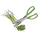 Westmark Germany Stainless Steel 5-Blade Herb Scissors with Cleaning Comb (Green)