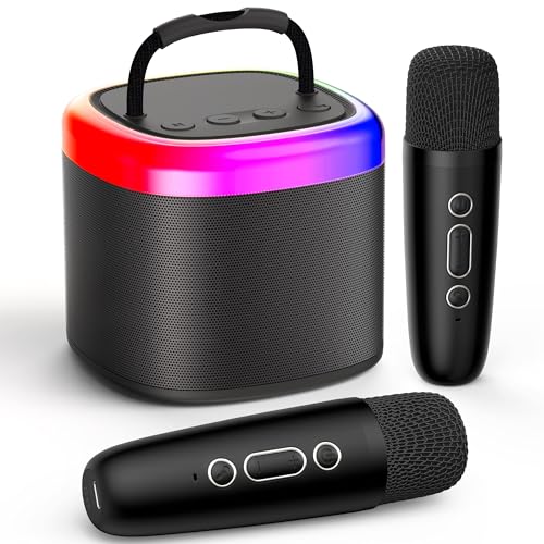 Paragon　mini　スピーカー 特注品 JBL PARAGON MINI