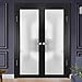 SARTODOORS Planum 2102 | Double Swing Interior French Doors with Glass with Frosted Glass, Solid Wood, Hardware Included, 48x80, Black, Modern