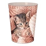  Oberthur Corbeille à papier Chaton Cute