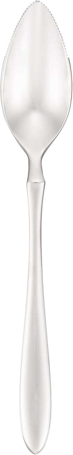 Sato Metal Kogyo SALUS First Grapefruit Spoon, Made in Japan