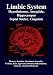 Limbic System: Amygdala, Hypothalamus, Septal Nuclei, Cingulate, Hippocampus: Emotion, Memory, Language, Development, Evolution, Love, Attachment, ... Aggression, Dreams, Hallucinations, Amnesia