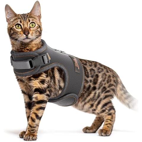 𝗧𝗵𝗲 𝗪𝗶𝗻𝗻𝗲𝗿 𝟮𝟬𝟮𝟭* Cat Harness Vest - Medium, Cat Harness Escape Proof, Cat Harness with Velcro, Kitten Vest Harness with Adjustable Strips, Suitable to Puppies and Small Animals Harness Cover