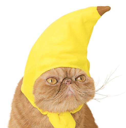 image for Kitan Club Cat Cap - Pet Hat Blind Box Includes 1 of 6 Cute Styles - S