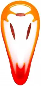 CONCHA COQUILHA PROTEÇÃO GENITAL