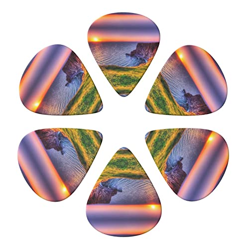 Ireland Sunset Seascape Lot de 6 médiators pour guitare acoustique, guitare électrique, basse, ukulélé – fins, moyens et… - Les Beatles, Paul McCartney, John Lennon, RIngo Starr, George Harrison Ireland Sunset Seascape Lot de 6 médiators pour guitare acoustique, guitare électrique, basse, ukulélé – fins, moyens et… – Image 5