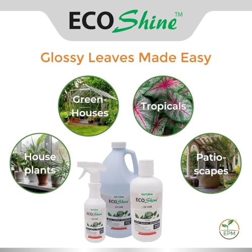 Spray Brillo para Hojas Eco Shine 16oz Líquido miniatura 2