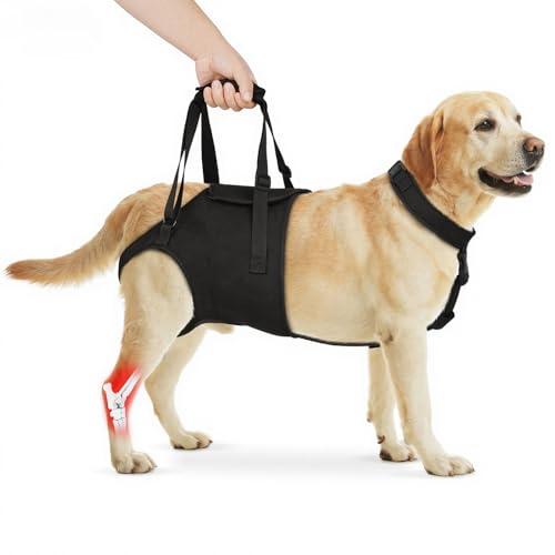 Supet Large Dog Hind Leg Support Sling