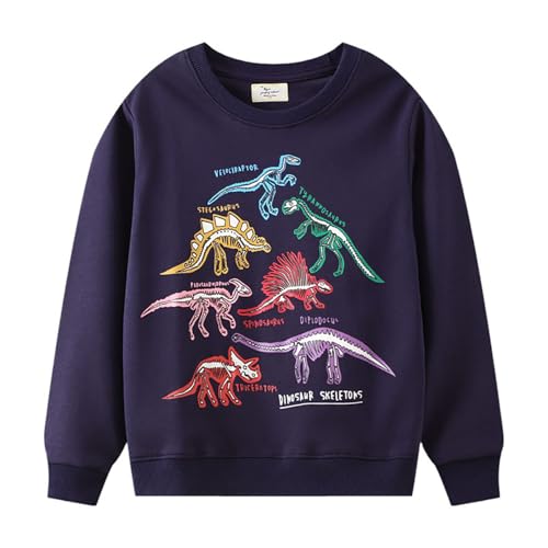 Boys Sweatshirts Casual Sweatshirts Cotton Sweatshirts Long Sleeve T-shirts Crew Neck Cartoon Tops for Boys-456